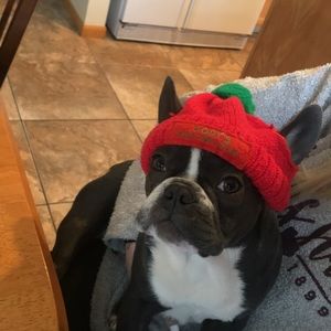 Meet your Posher, Cody